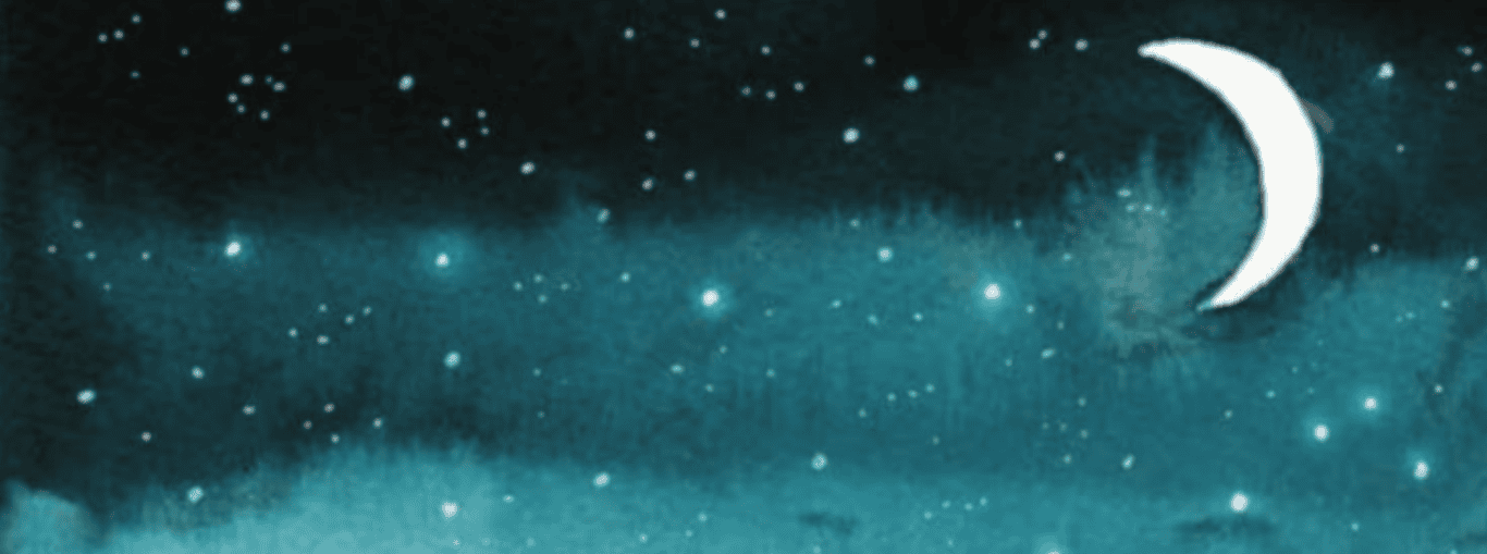 LP banner achtergrond - James Norbury