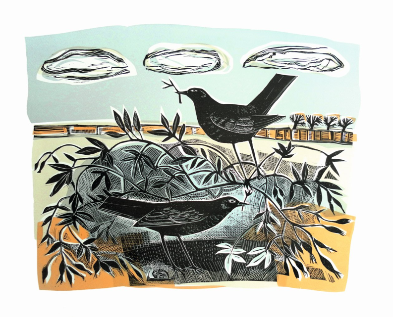 2025-12-04 10_35_56-A Harding_Early Nesters.tif - Bewerkt