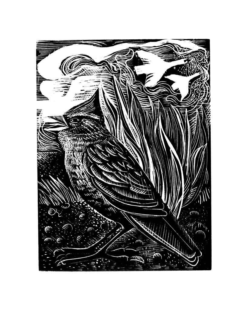 Ontwerp zonder titel (1)