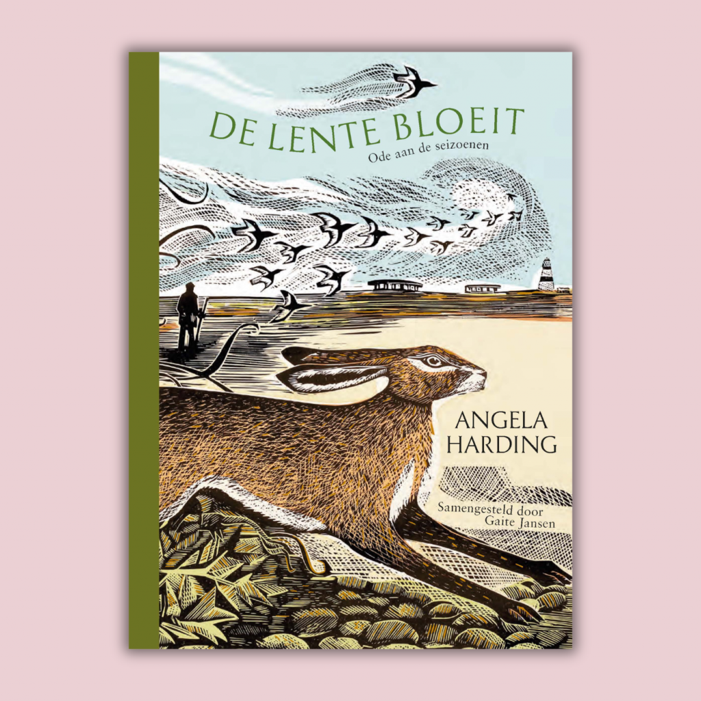 Homepagina highlight De lente bloeit